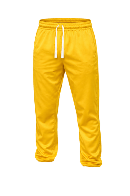 Nashira Triacitate Pants