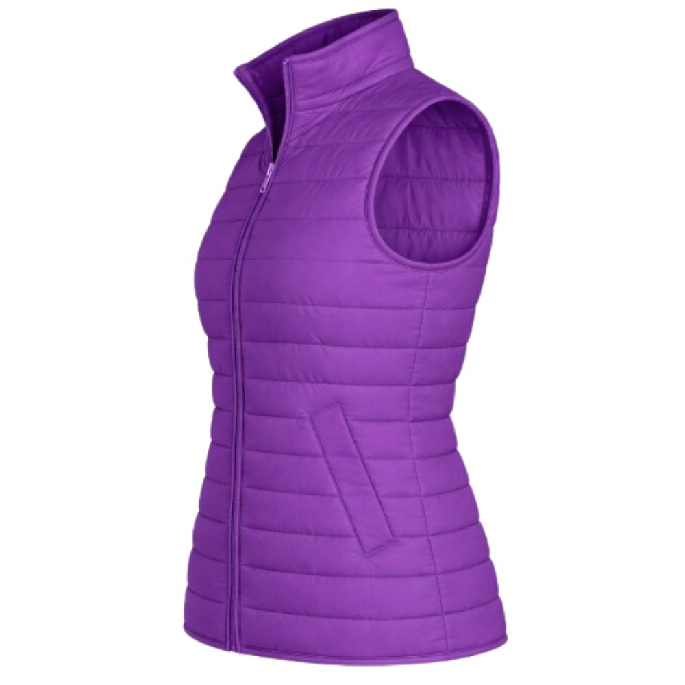 Aries Basic Puffer Vest