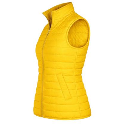 Aries Basic Puffer Vest