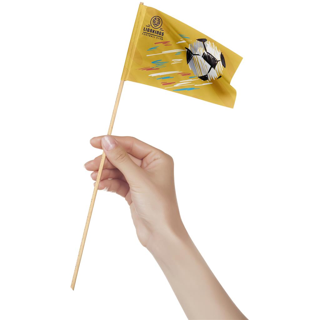 DISPLAY 1010 HAND FOOTBALL