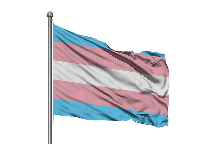 TRANSGENDER FLAG 180 x 120cm (Ultrasheen)