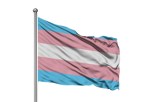 TRANSGENDER FLAG 180 x 120cm (Ultrasheen)