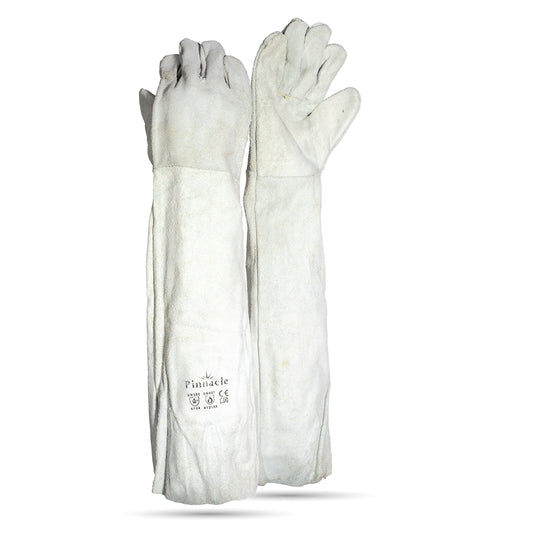 Chrome Leather D/Palm Glove 16  Shoulder – Pack Of 12 Pairs